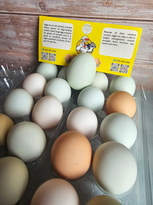 Eggs (3 Dozen)