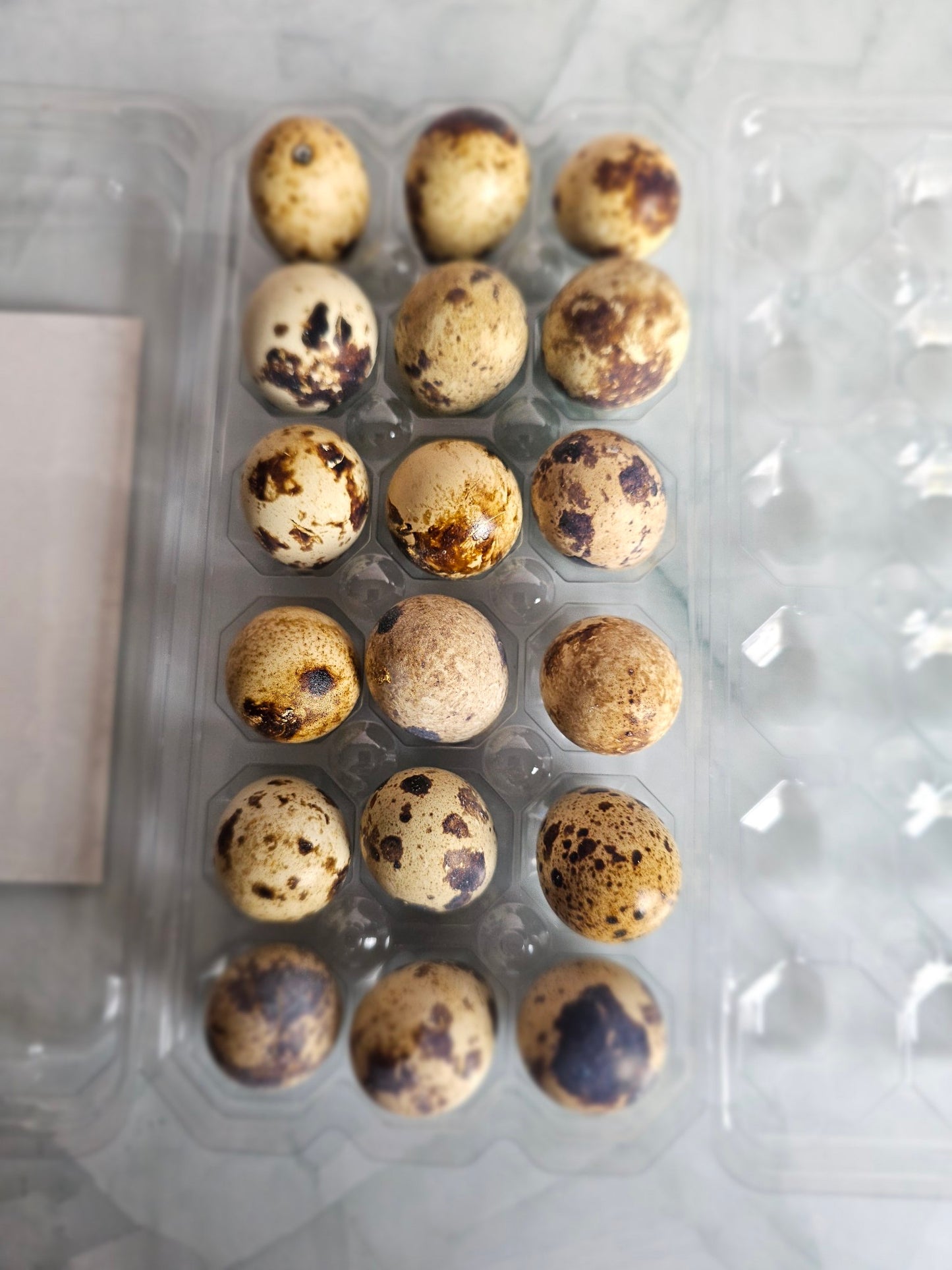 Quail Eggs (1.5 Dozen)