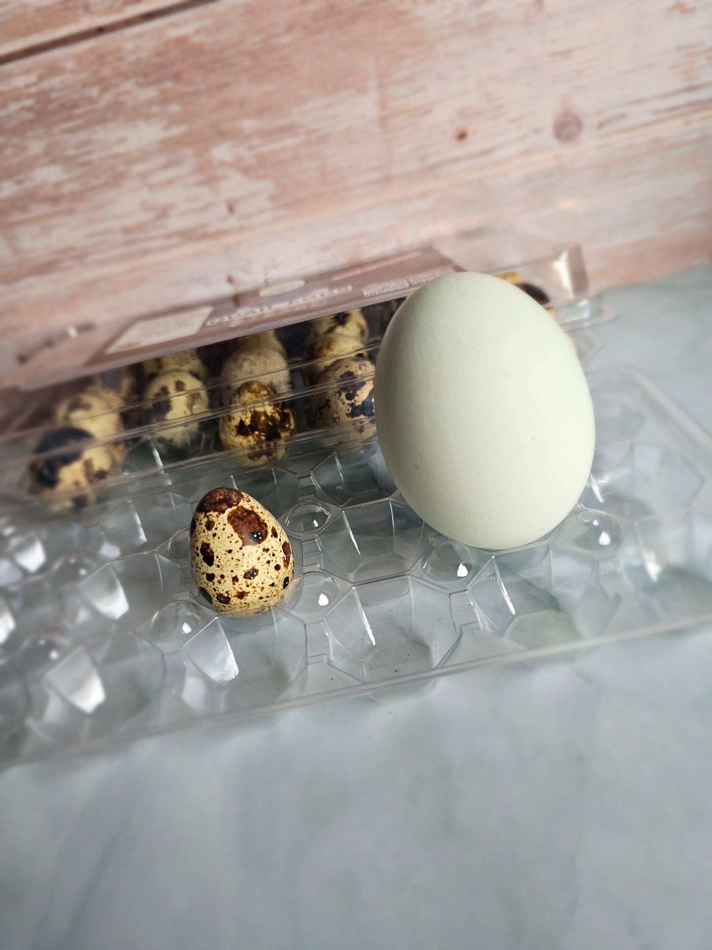 Quail Eggs (1.5 Dozen)