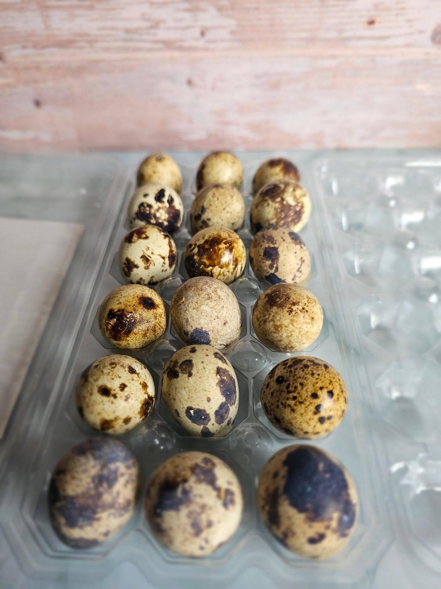 Quail Eggs (1.5 Dozen)