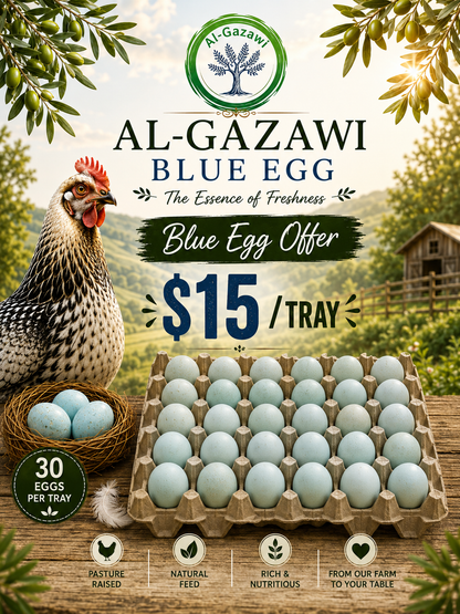 Blue Egg