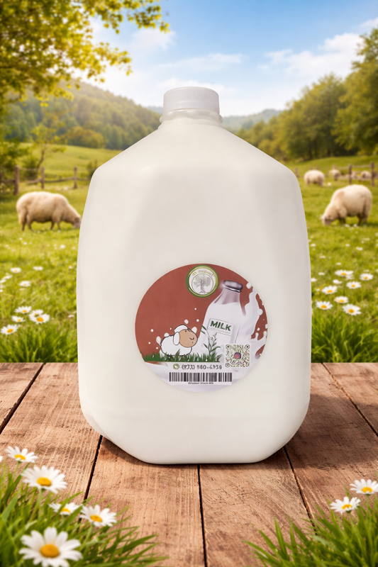 Sheep Milk