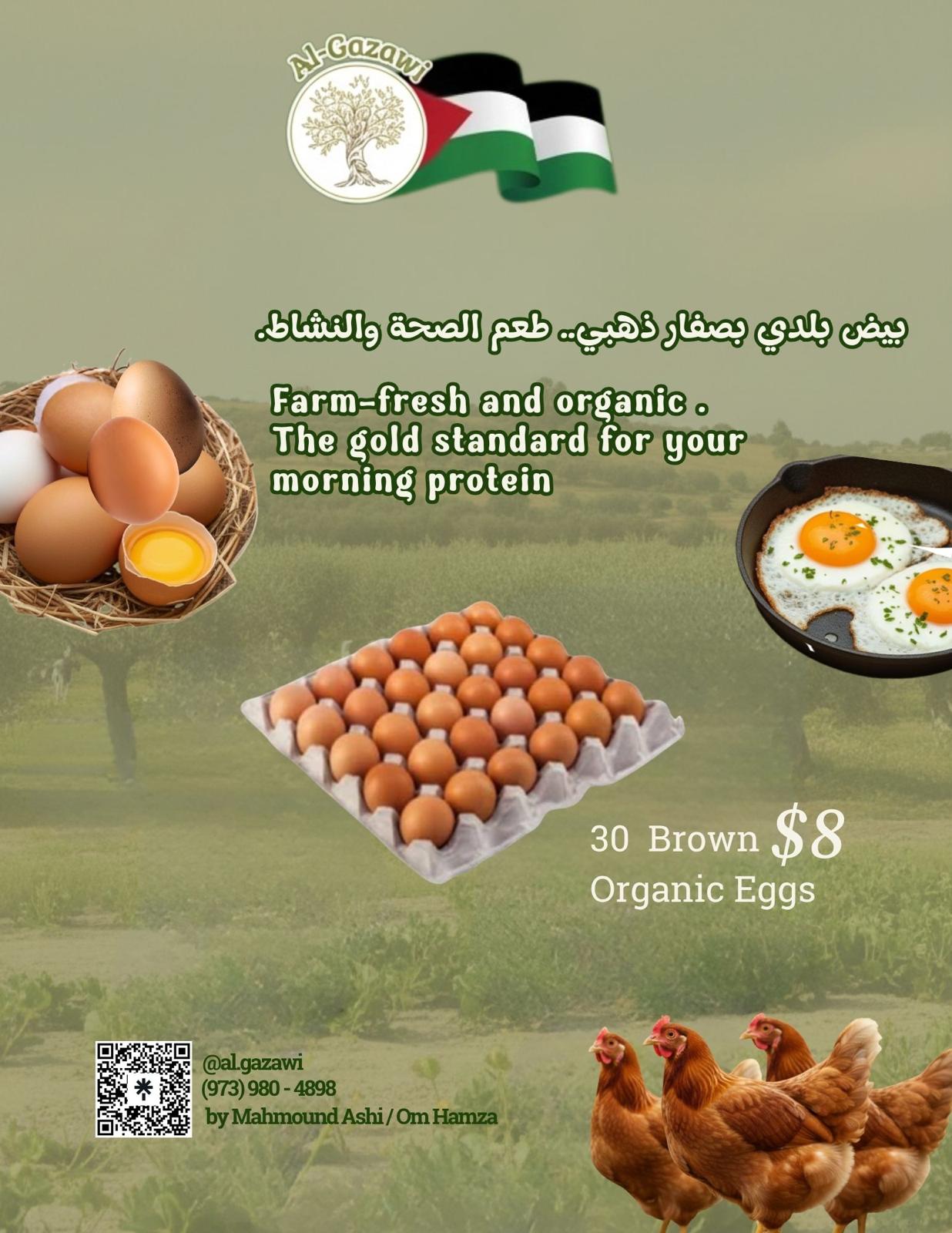 Brown organic eggs