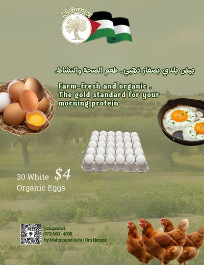 White orange eggs