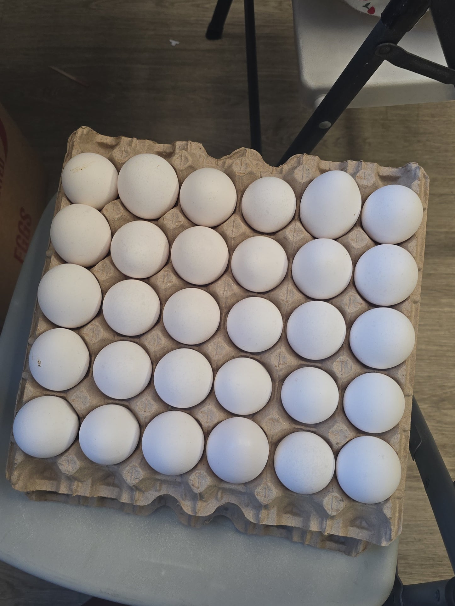 White orange eggs