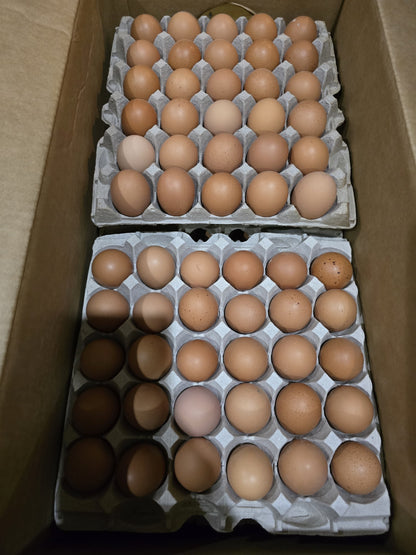 Brown organic eggs