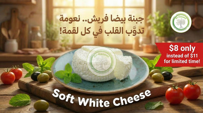 جبنة بيضاء طرية في ماء مالح (1 رطل)