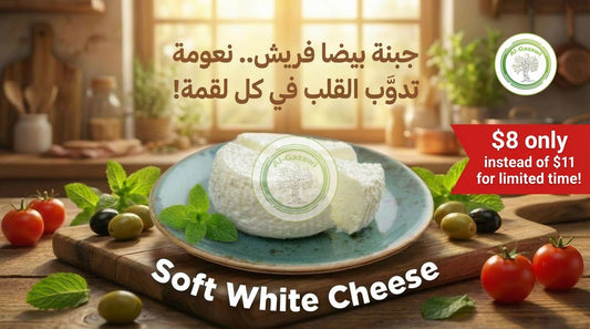 Soft White Cheese in Salt Water (1 Pound)